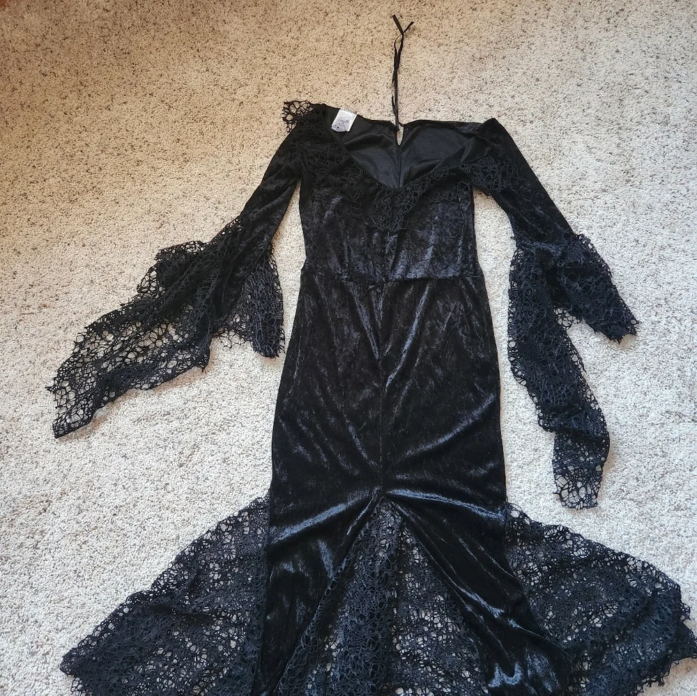 Black Widow Adult Costume with Wig - Picture 4 of 9